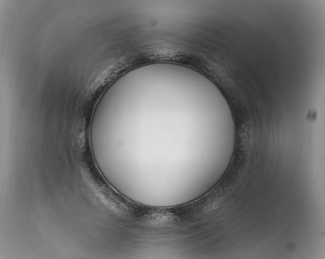 X0000111390642200907241335