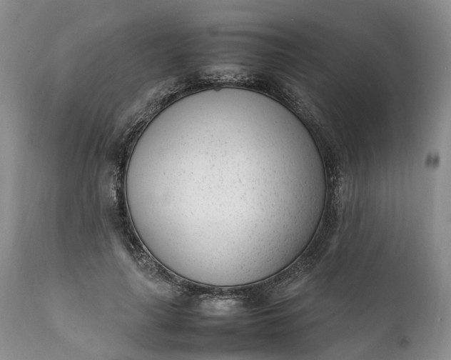 X0000111390643200907241335