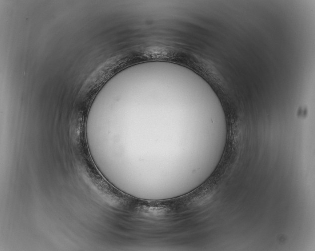 X0000111390645200907241335