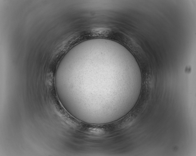 X0000111390649200907241335