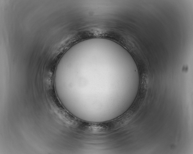 X0000111390650200907241335