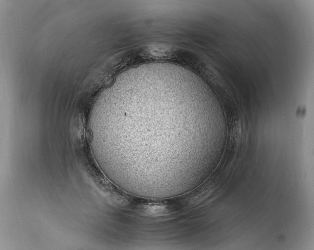 X0000111390651200907241335