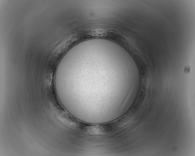 X0000111390652200907241335