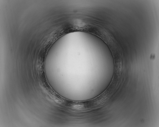 X0000111390653200907241335