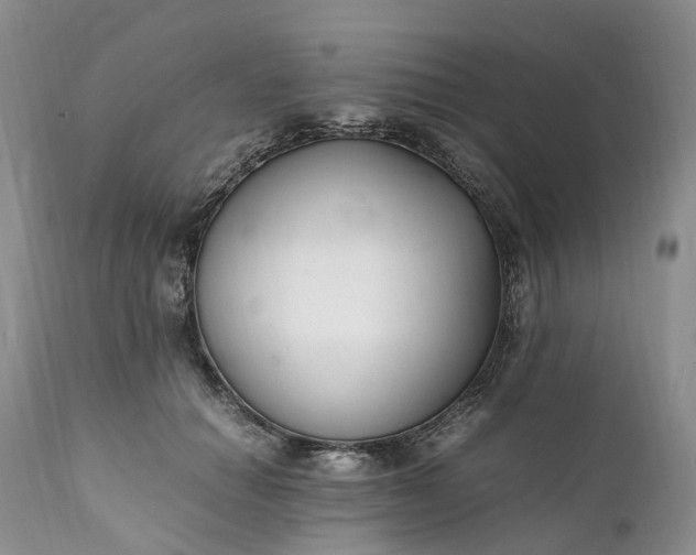 X0000111390654200907241335