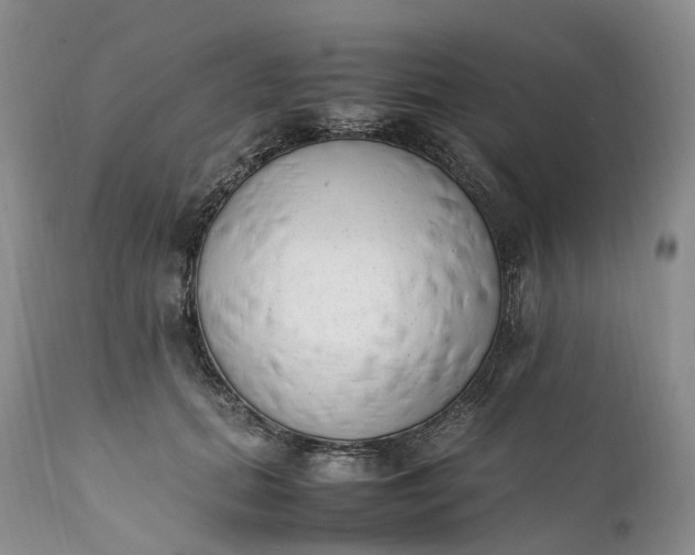 X0000111390655200907241335