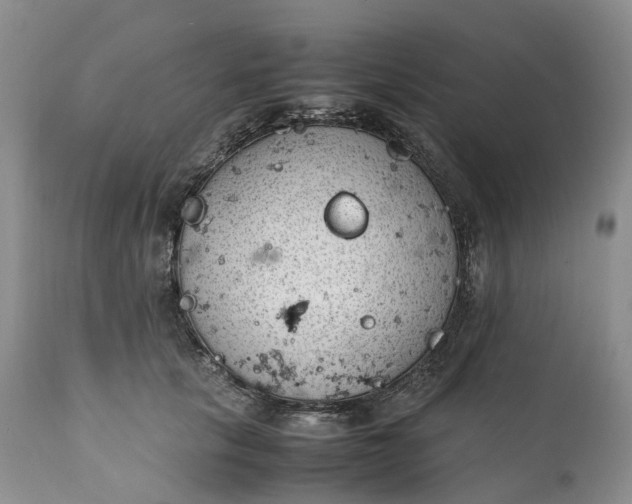 X0000111390657200907241335