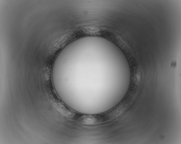 X0000111390658200907241335