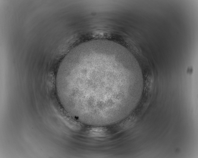 X0000111390659200907241335