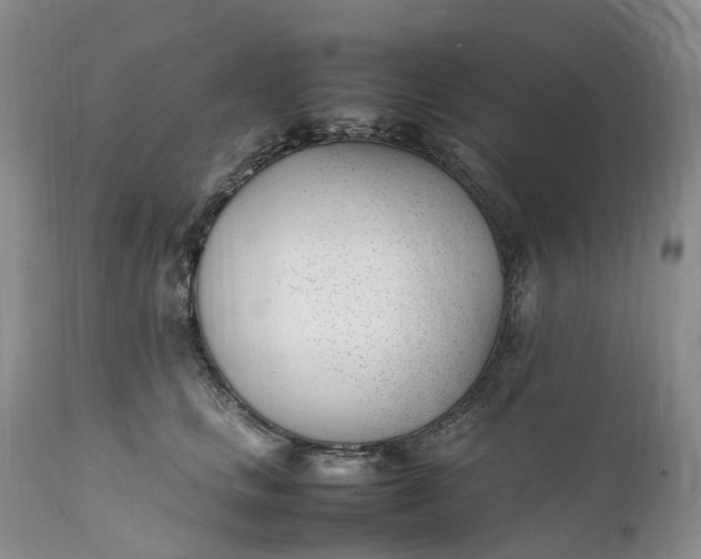 X0000111390661200907241335