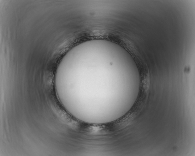 X0000111390662200907241335