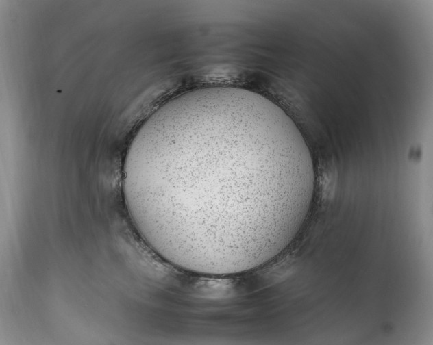 X0000111390665200907241335