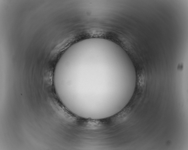 X0000111390666200907241335