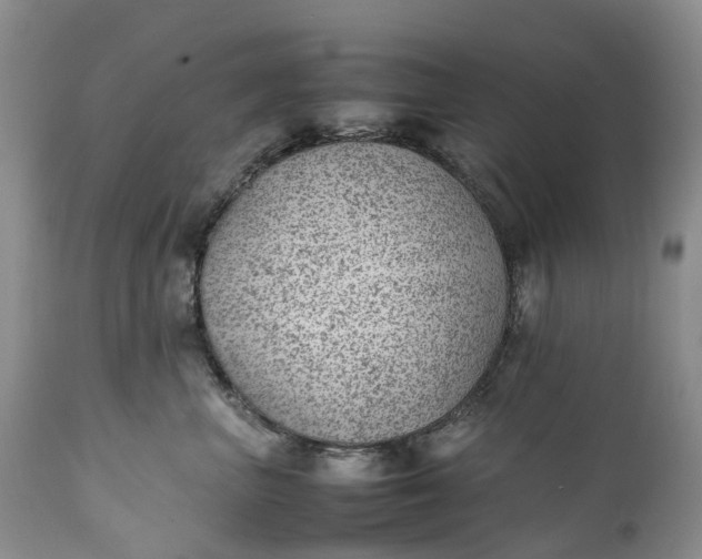 X0000111390667200907241335