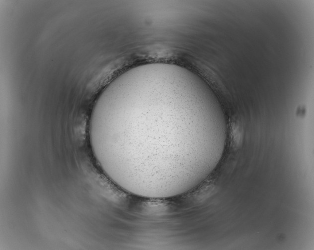 X0000111390668200907241335