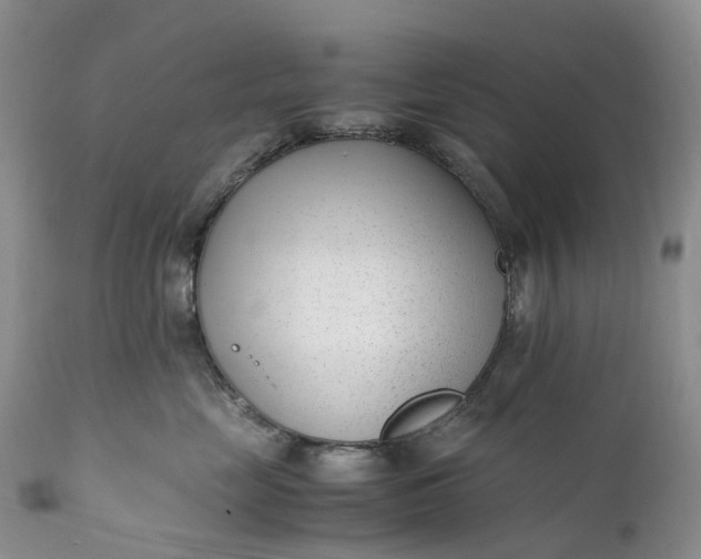 X0000111390669200907241335