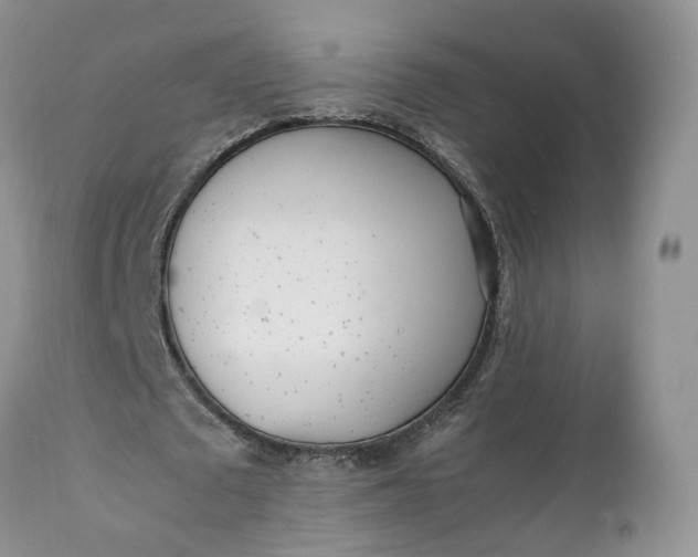 X0000111390673200907241334