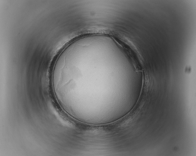 X0000111390674200907241334