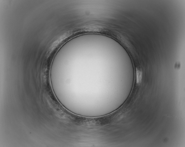 X0000111390675200907241334