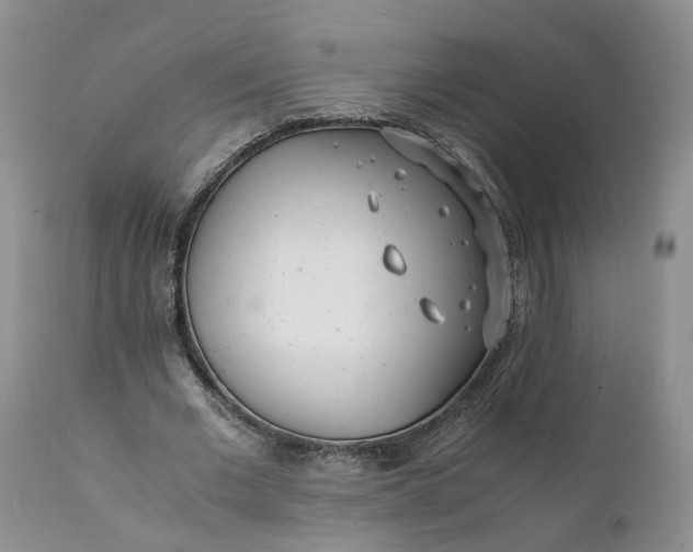 X0000111390677200907241334