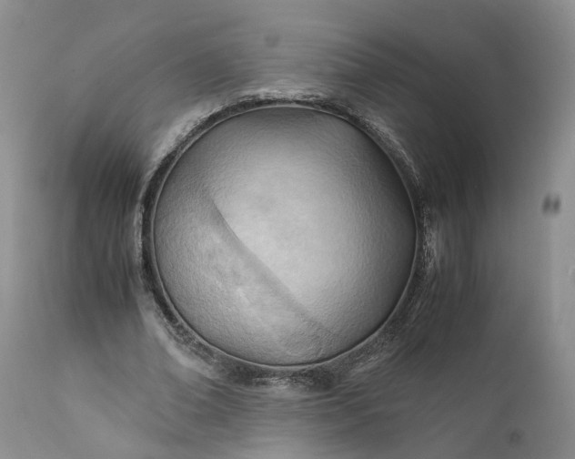 X0000111390678200907241334