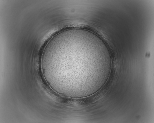 X0000111390679200907241334