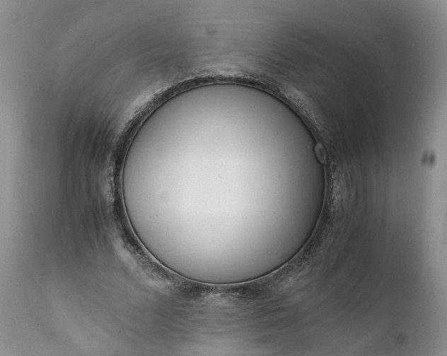 X0000111390680200907241334