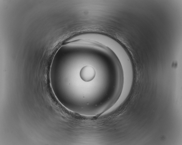 X0000111390681200907241334