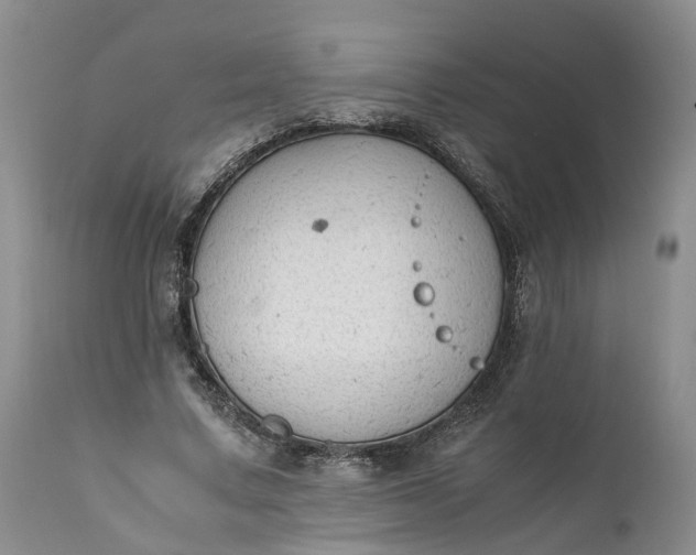 X0000111390683200907241334