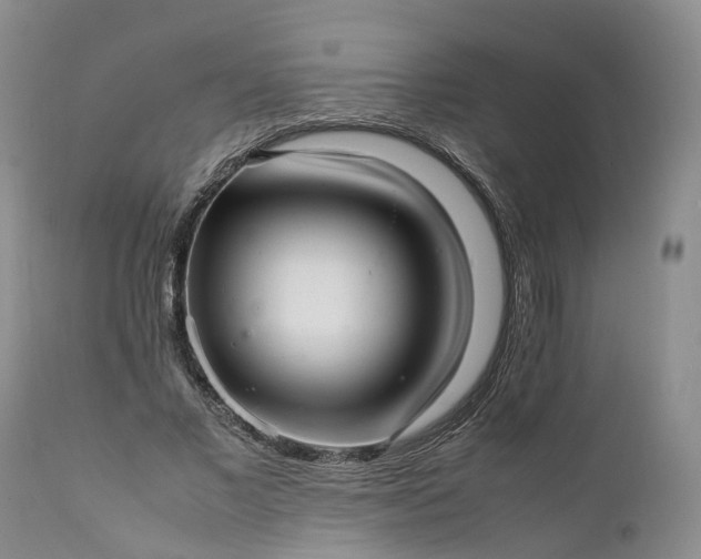 X0000111390685200907241334