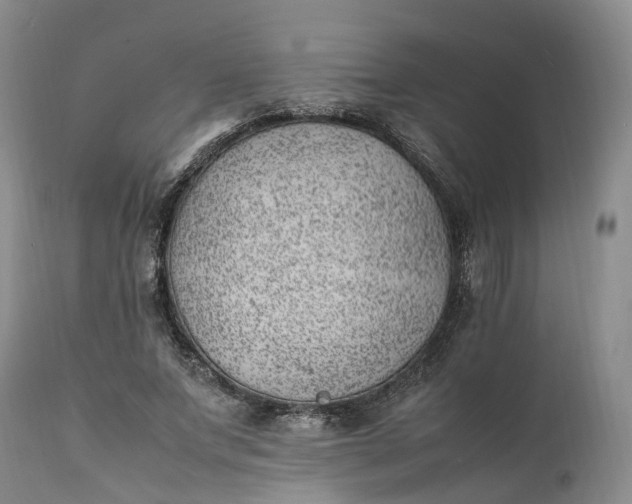 X0000111390687200907241334