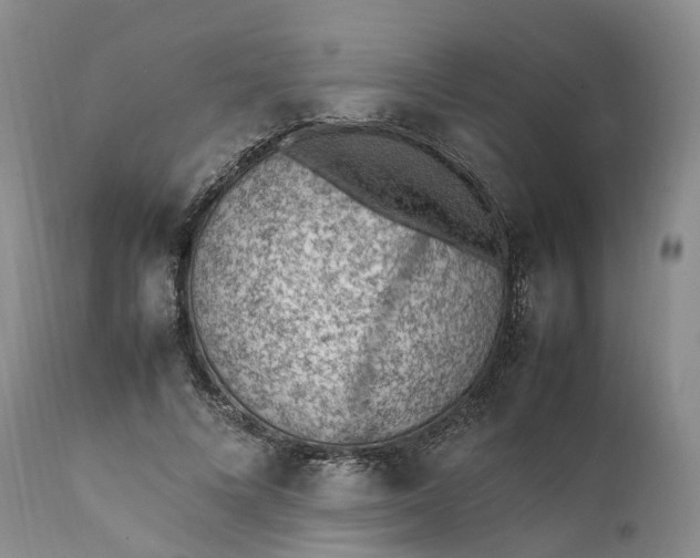 X0000111390688200907241334