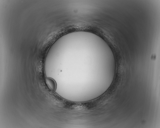 X0000111390689200907241334