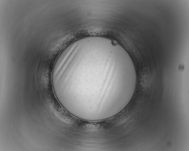 X0000111390690200907241334