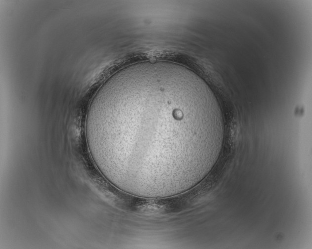 X0000111390691200907241334