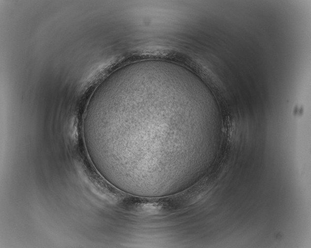 X0000111390692200907241334