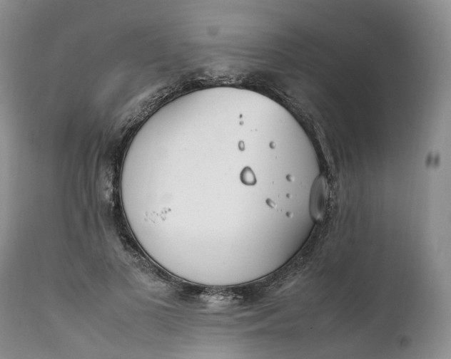 X0000111390693200907241334