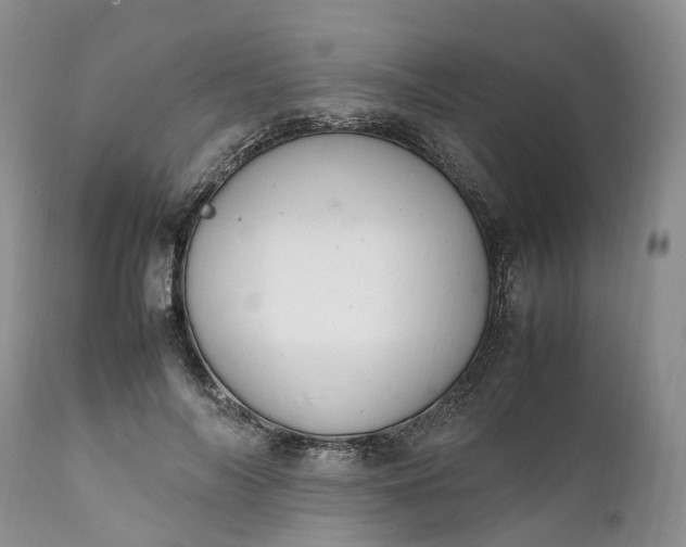 X0000111390694200907241334