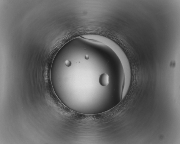 X0000111390696200907241334