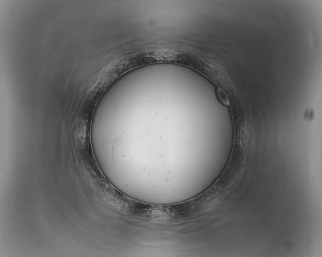 X0000111390697200907241334