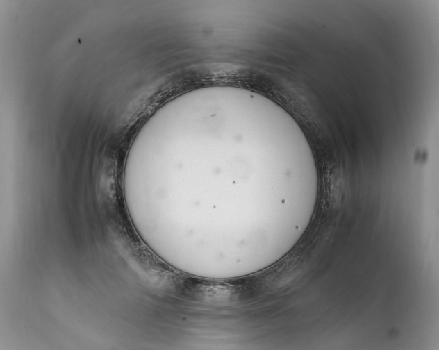 X0000111390698200907241334