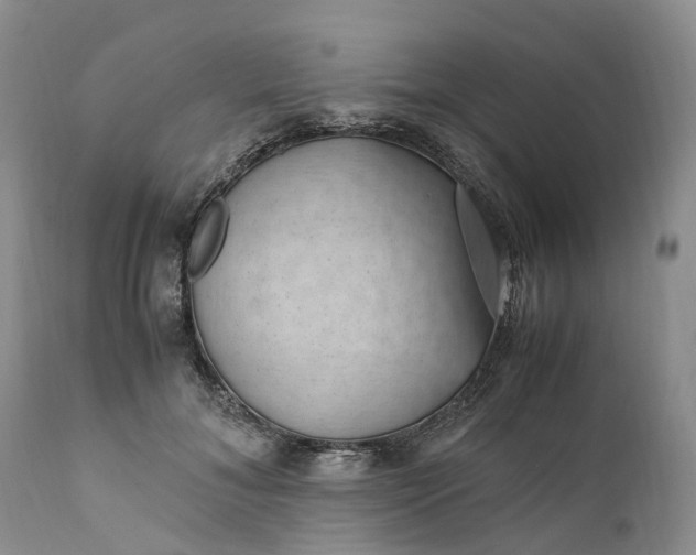 X0000111390700200907241334