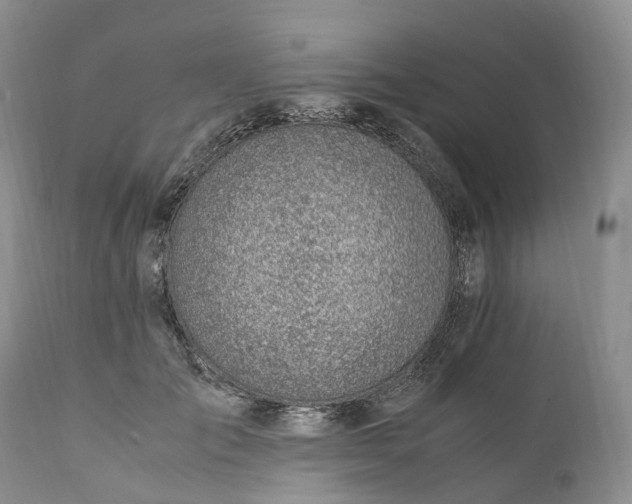 X0000111390701200907241334