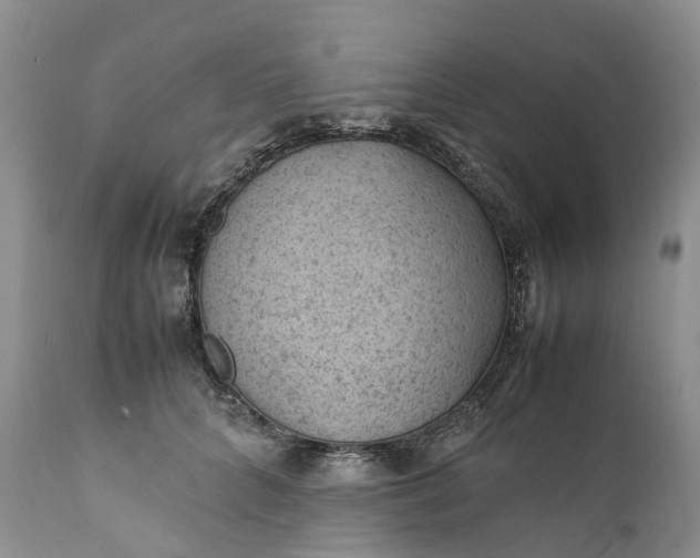 X0000111390704200907241334