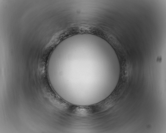 X0000111390706200907241334