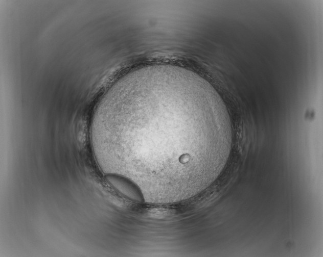 X0000111390708200907241334