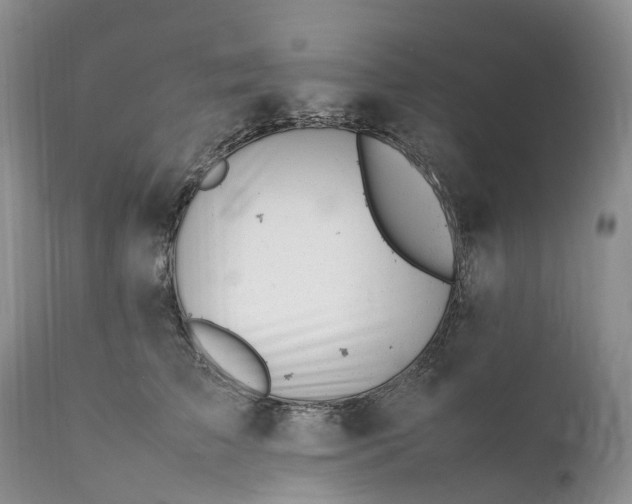 X0000111390709200907241334