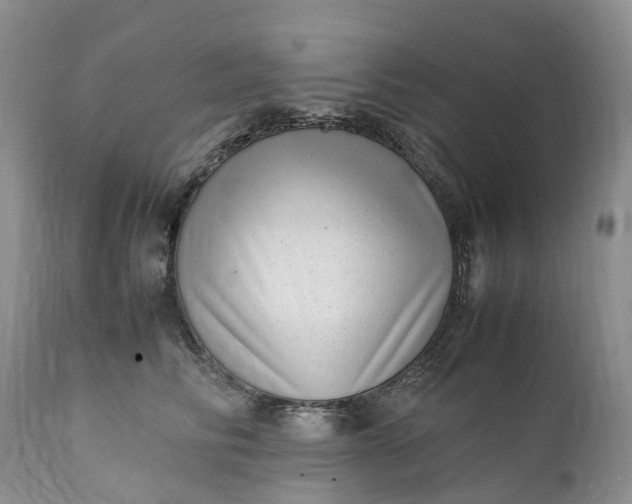 X0000111390710200907241334