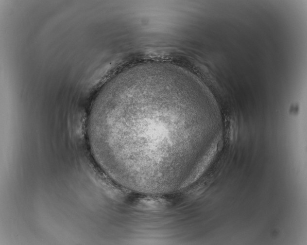 X0000111390712200907241334