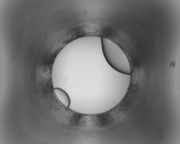 X0000111390713200907241334